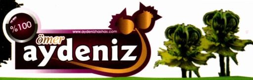 Aydeniz Hashas