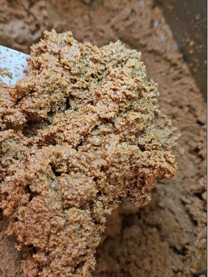 Aydeniz Böreklik Hashas (kg)